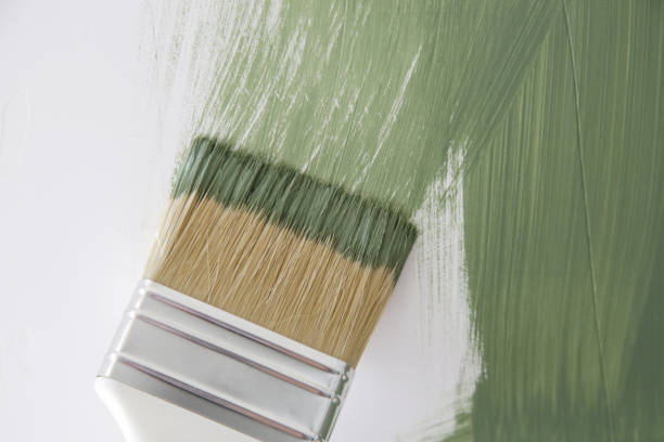  Wesley Chapel, NC Mold Removal Pros