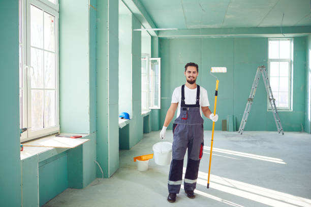Best Basement Mold Removal  in Wesley Chapel, NC