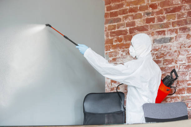 Best Biohazard Mold Removal  in Wesley Chapel, NC