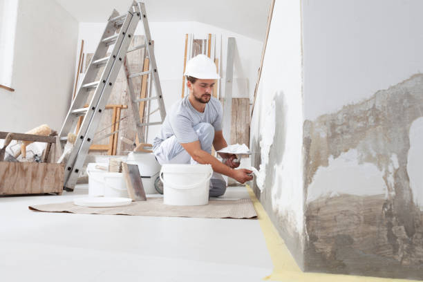 Mold Remediation for Vacation Homes in Wesley Chapel, NC